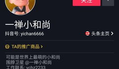 抖音短视频最火,揭秘热门内容生成法则